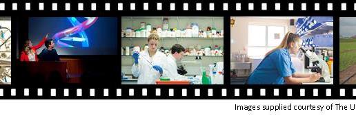 Horizons in STEM higher education conference banner