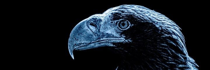 asaleh018's profile banner image