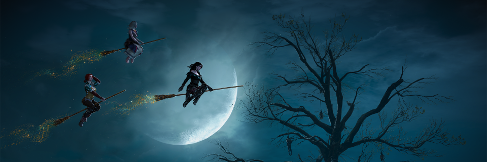 Karolina Niewęgłowska banner