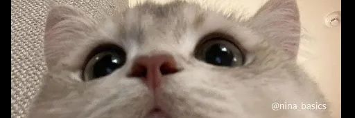 macielamanda's profile banner image