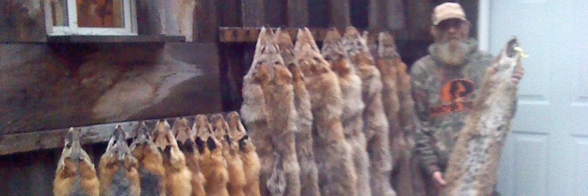 WalterCurrie2's profile banner image