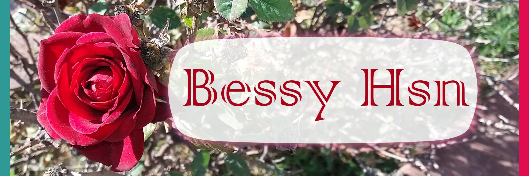 bessy_hsn's profile banner image