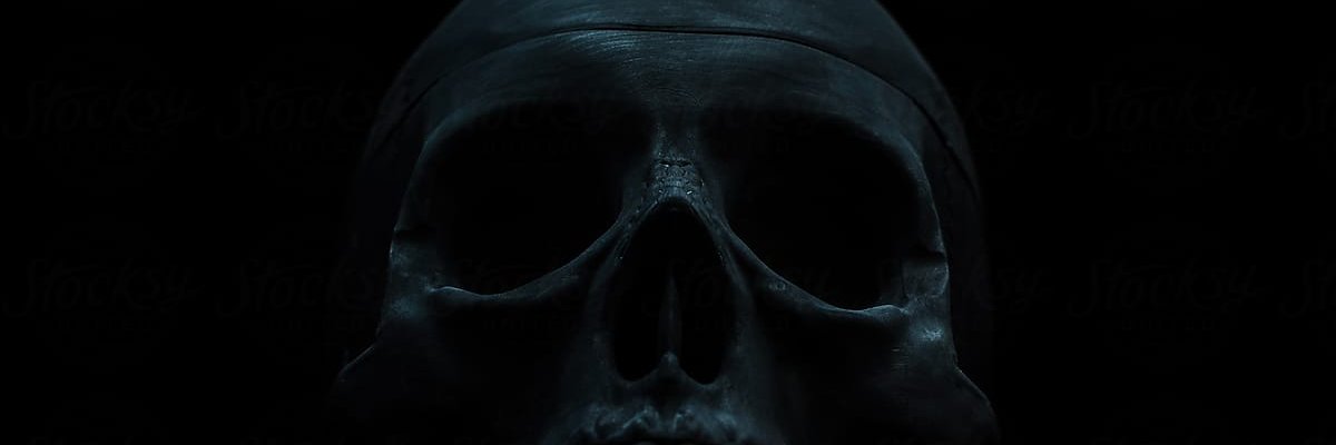 ap_wt5's profile banner image