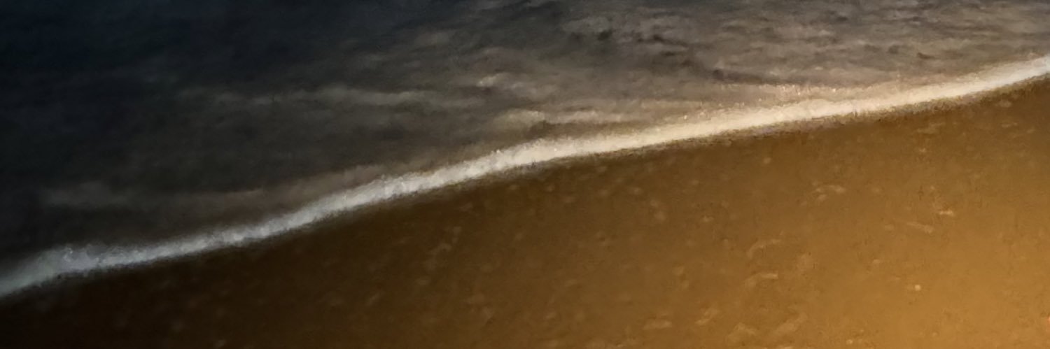 vinniDz's profile banner image