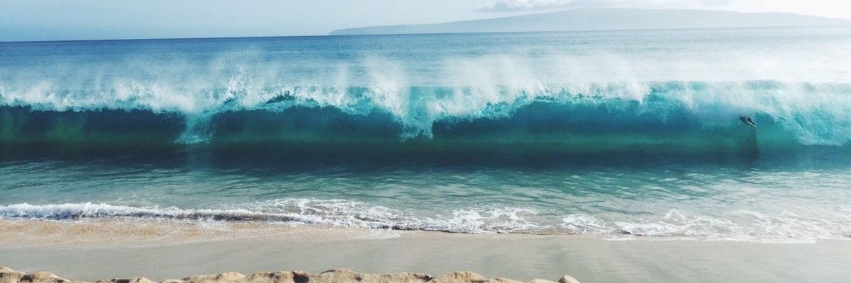 chloe_boyer's profile banner image
