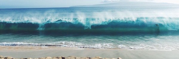 chloe_boyer Profile Banner