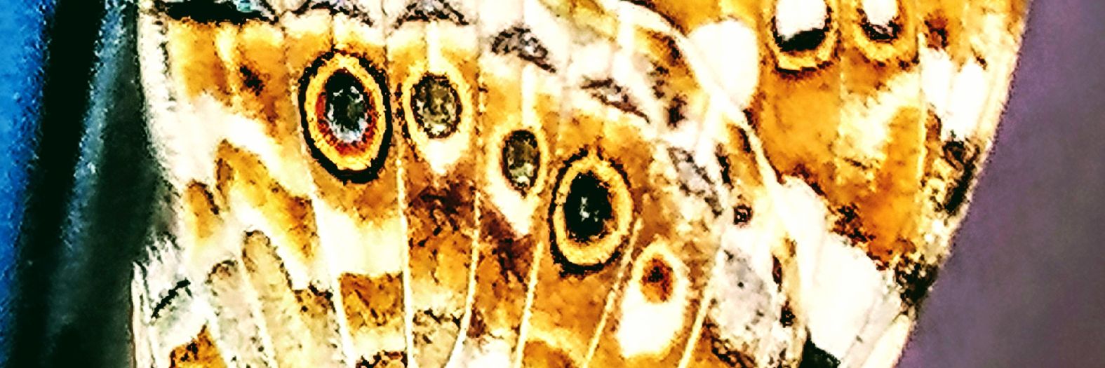 FundaAynur's profile banner image
