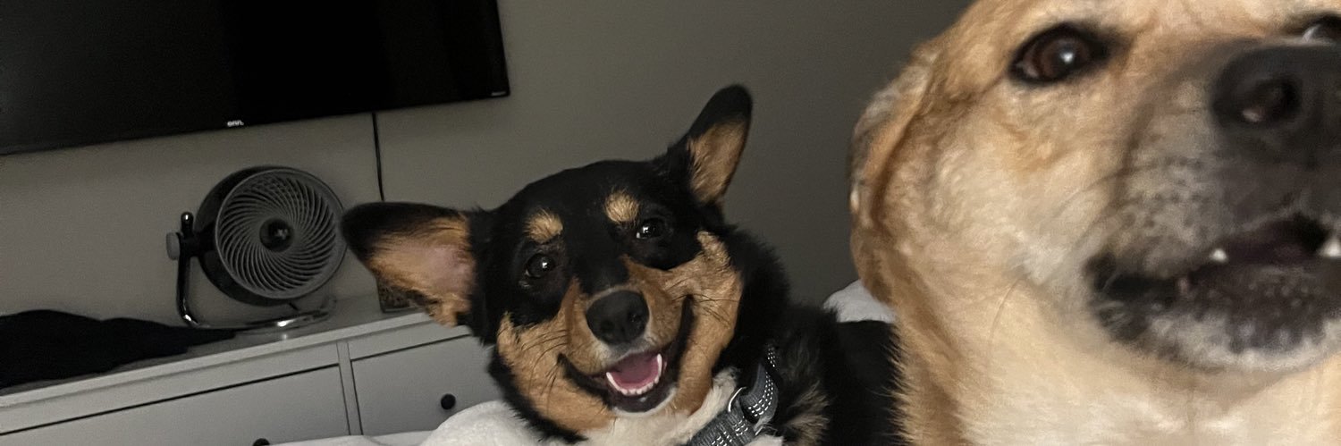 meghan castleman banner