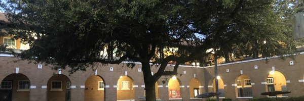 OGLions Profile Banner