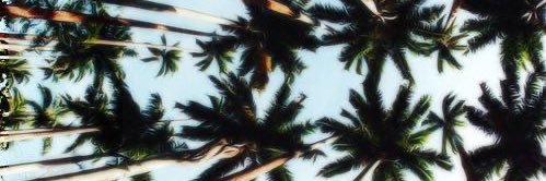 LexiMiranda6's profile banner image