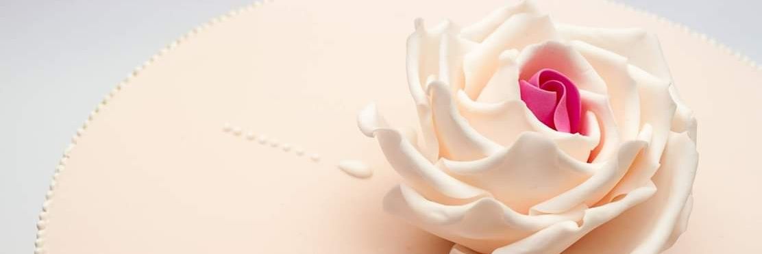 celebracake's profile banner image