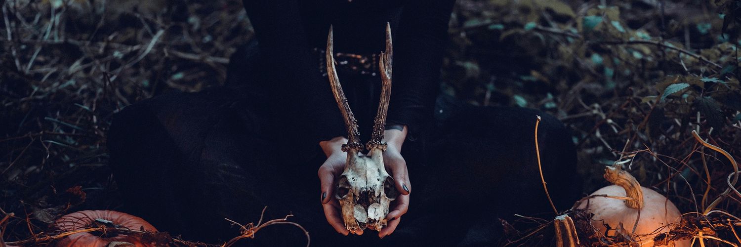 𝐊ayla; md. banner