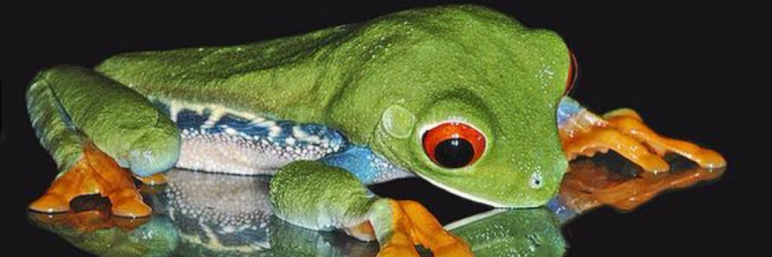 Lisa McAlpine banner