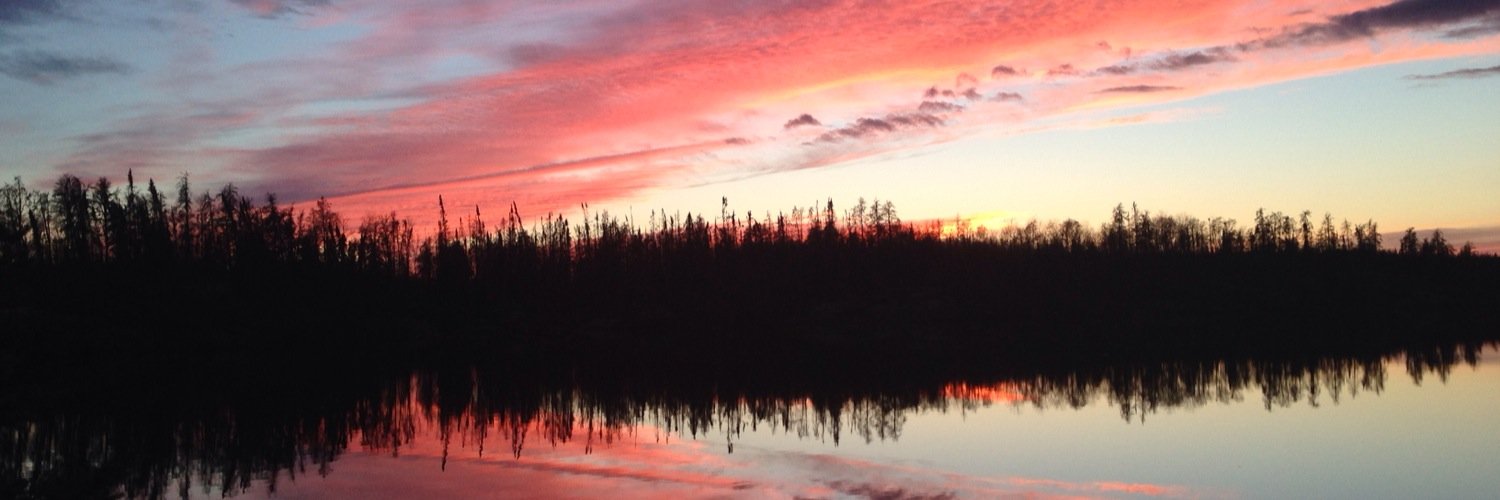 Michele Polinuk banner