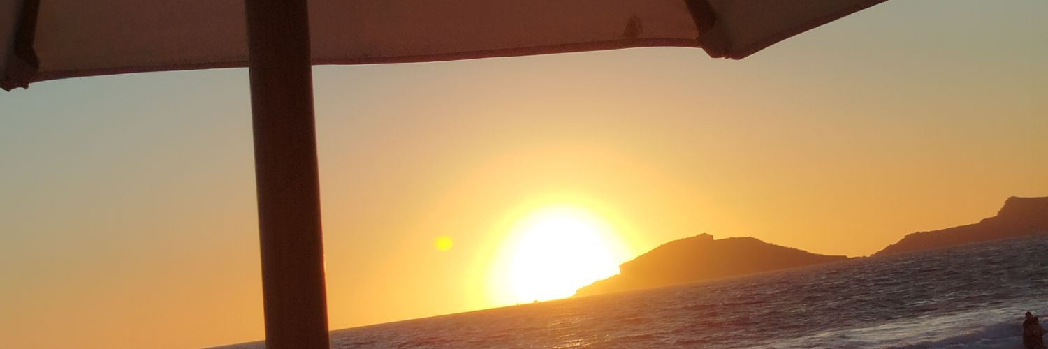 frootlupus's profile banner image