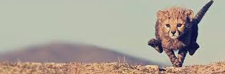 Will Bargery banner