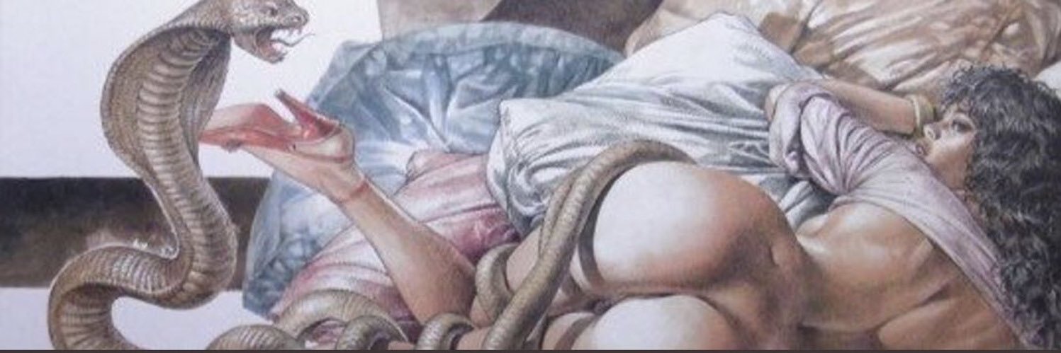lexviethxx's profile banner image
