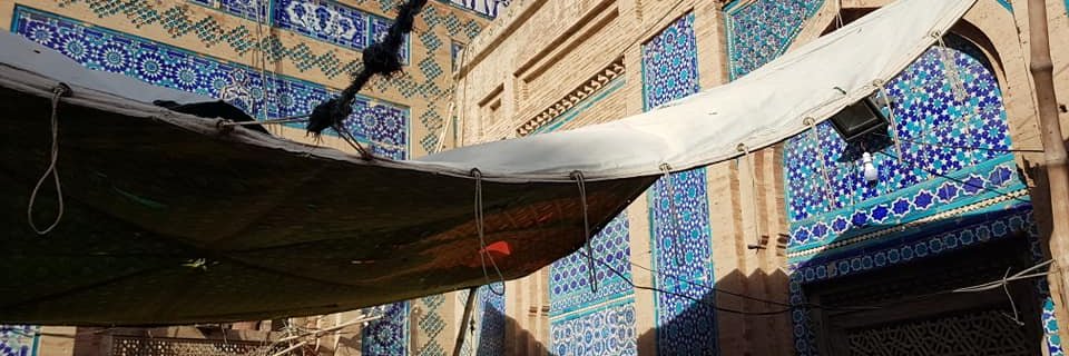 Brontë Philips banner