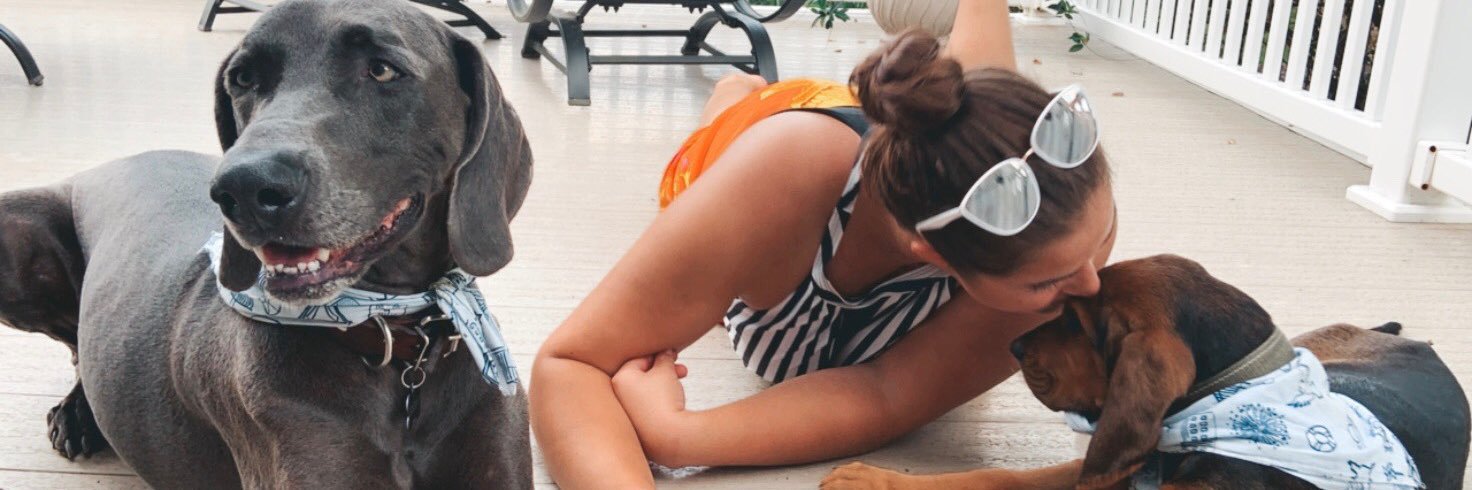 Stephanie Brewer banner