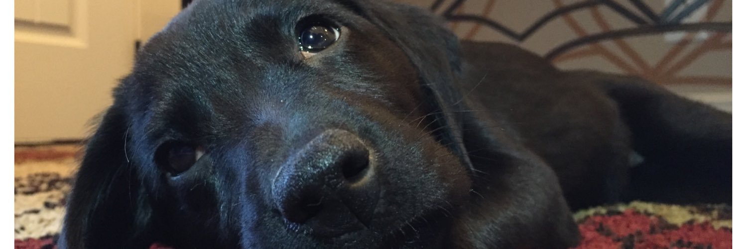 KelsiParmenter's profile banner image