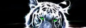 ismaelzin_'s profile banner image