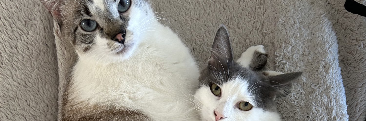 MillyyCostas's profile banner image