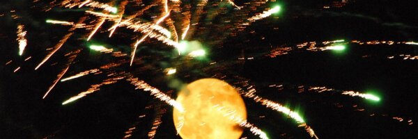 siroot Profile Banner