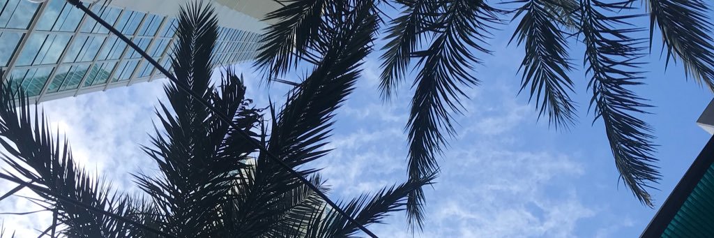 Becky_Seeba's profile banner image
