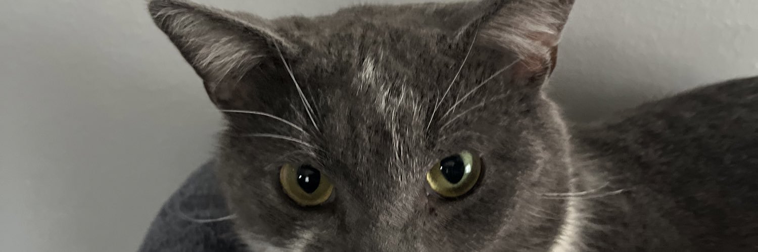 bogie_25's profile banner image
