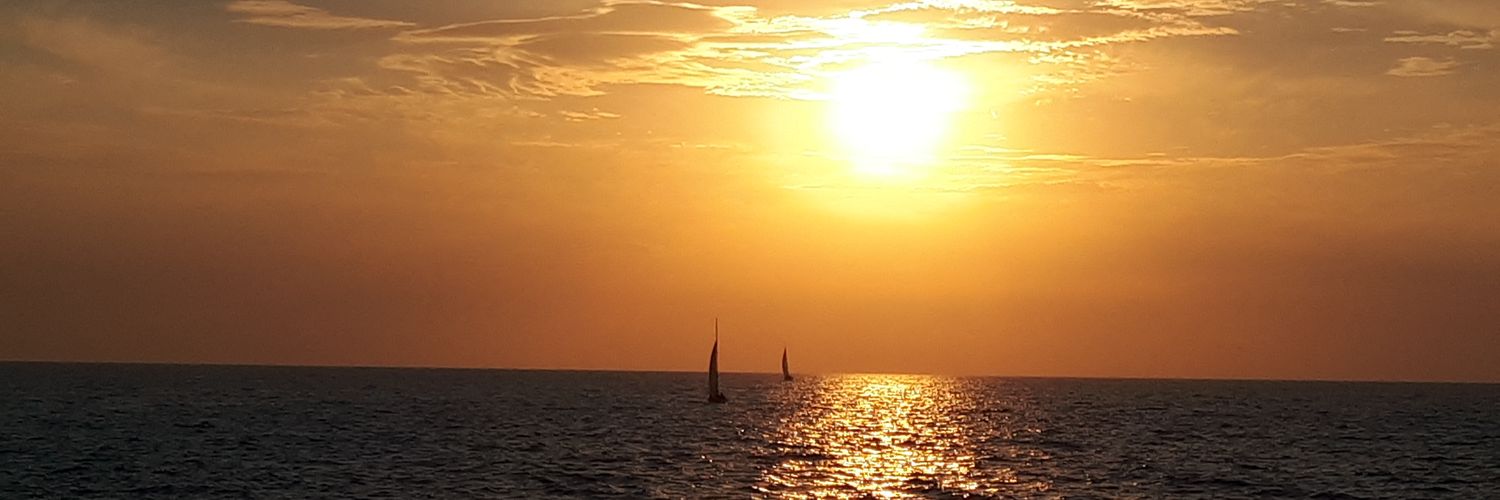 Денис Кишинёвский banner