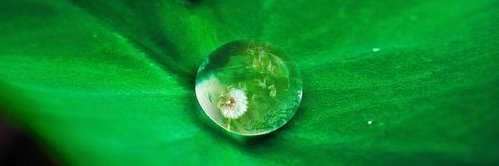 Brittany Andrews banner