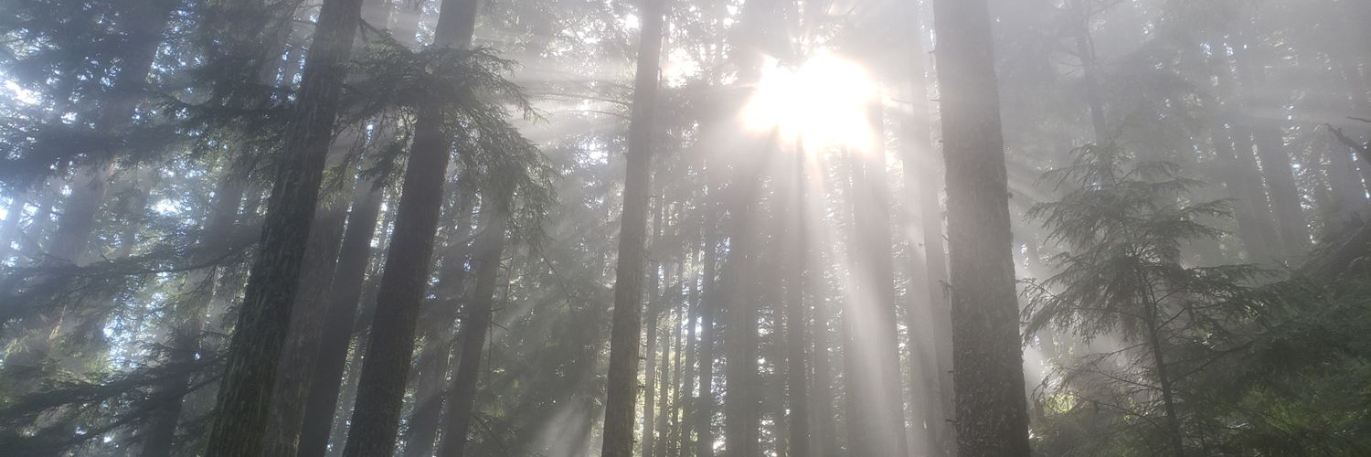 AaronWPorter's profile banner image