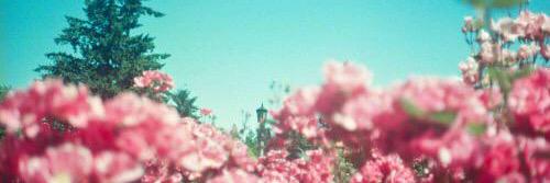 annahult's profile banner image