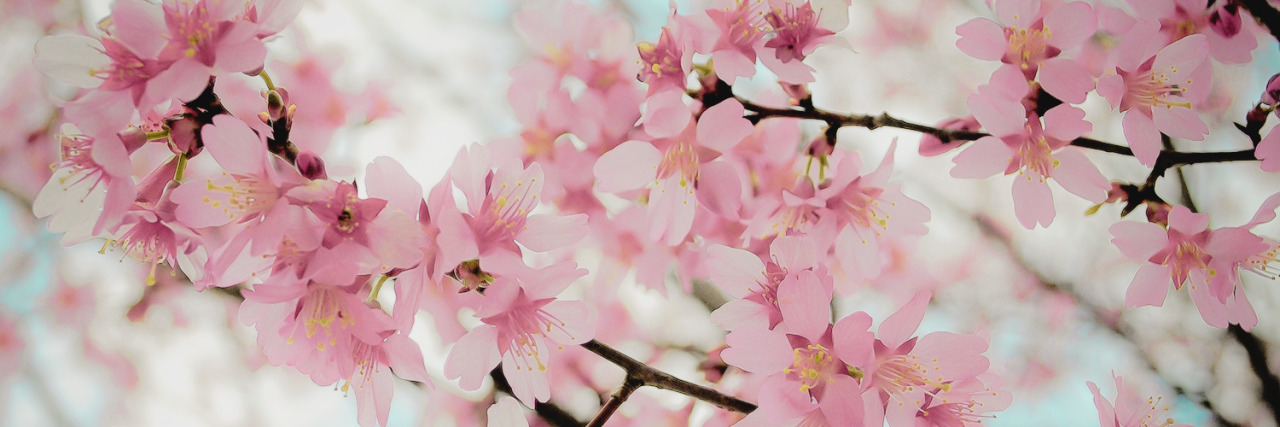 keelylynn's profile banner image