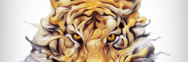 raf_branco's profile banner image