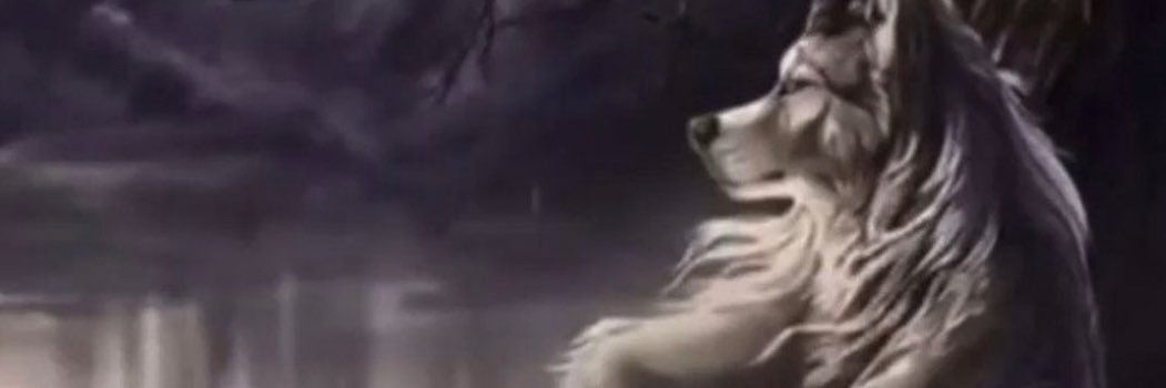 _TStu's profile banner image