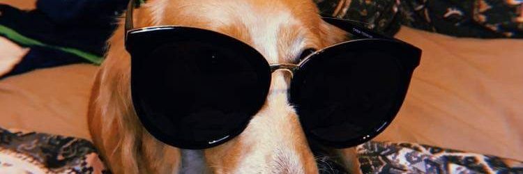 TylerTopel's profile banner image