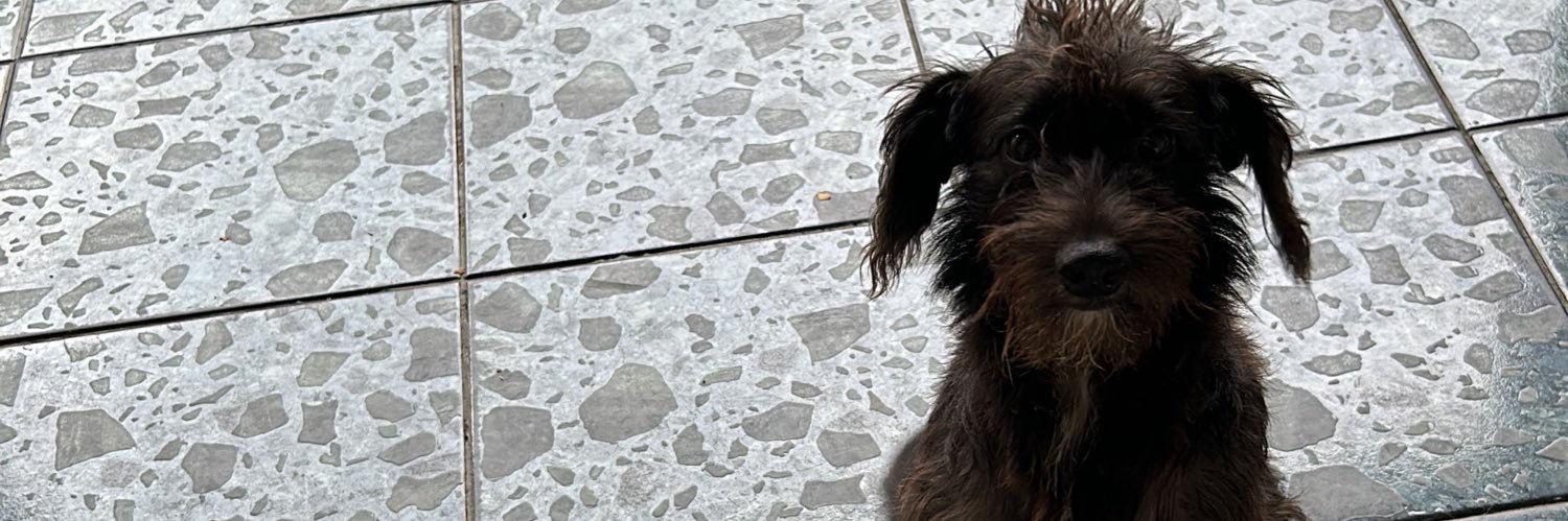 quezix_f's profile banner image