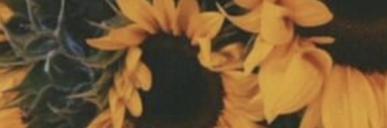 _adriennee's profile banner image