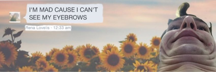 renaseyebrows's profile banner image