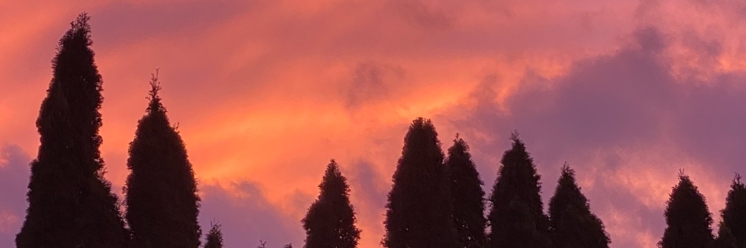 mspepperj's profile banner image