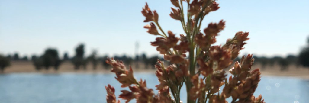 Salma's Tweets banner
