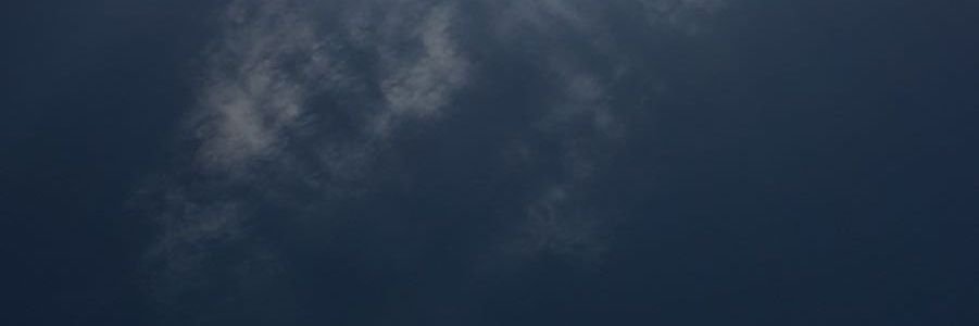 ditosea1's profile banner image
