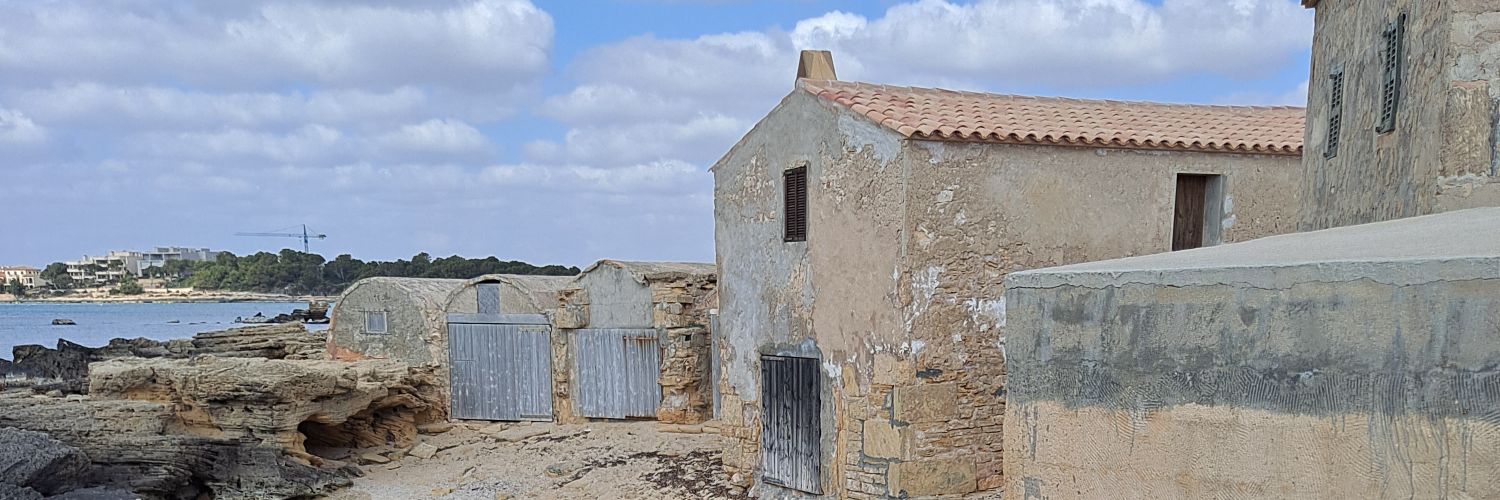 joanripollserra's profile banner image