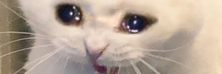 brubsonthetable's profile banner image