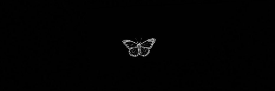 PMNelly's profile banner image
