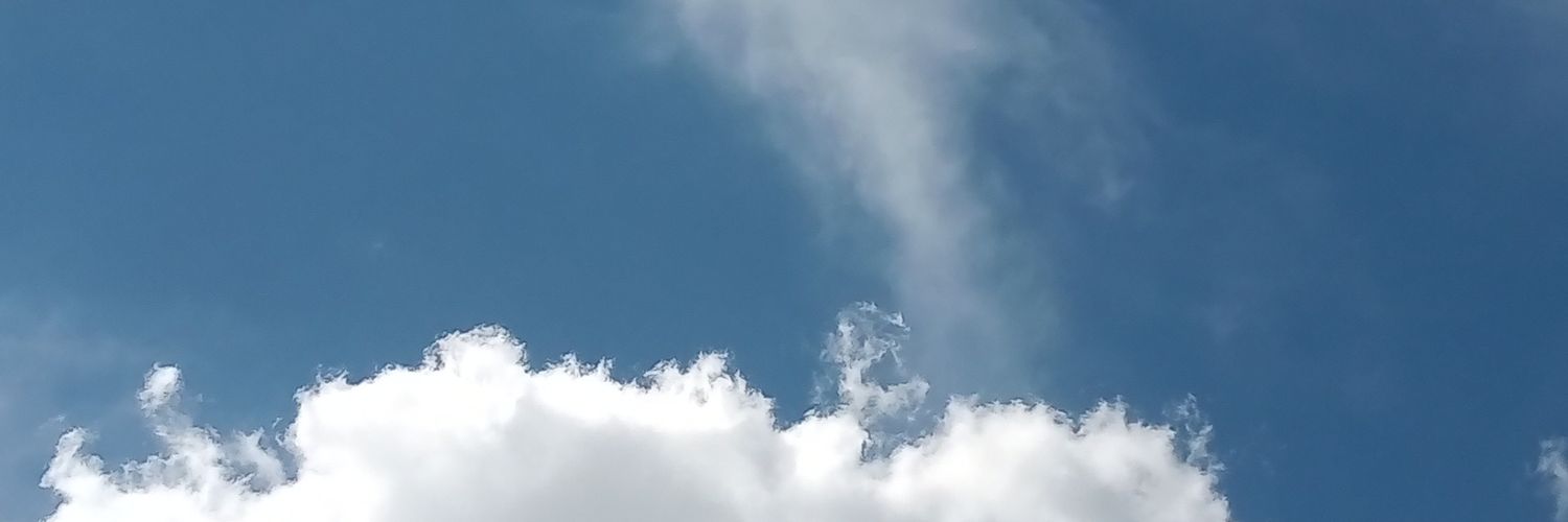 PaulaChilotegui's profile banner image