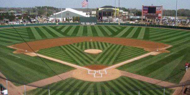 MSU Sports Turf banner