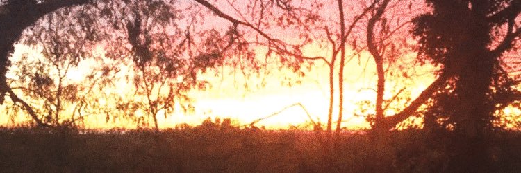 Stroieee's profile banner image