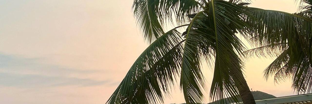 Samicsltz's profile banner image